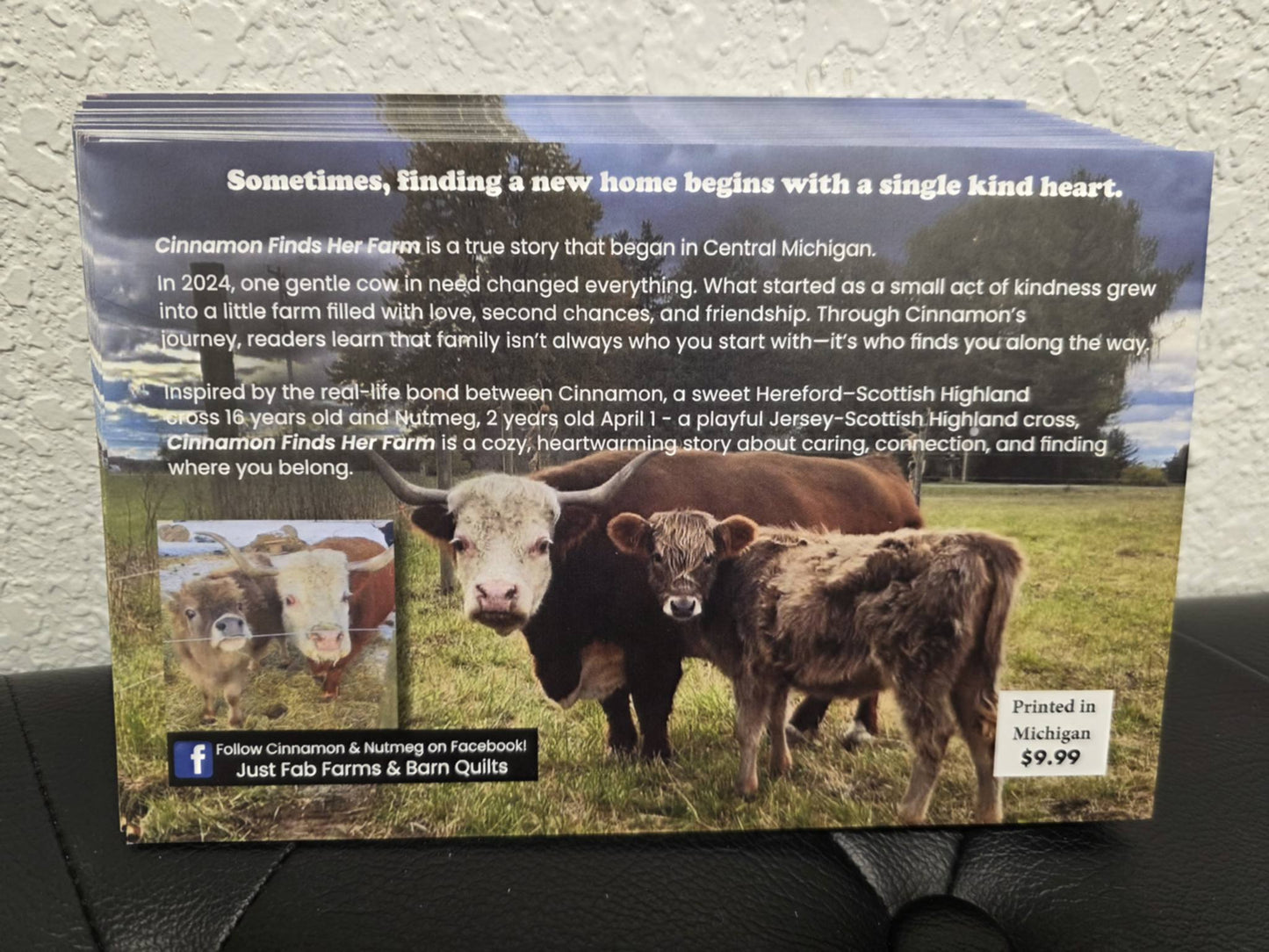 Cinnamon Finds Her Farm Book